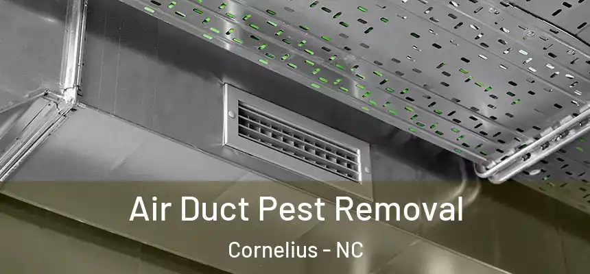  Air Duct Pest Removal Cornelius - NC