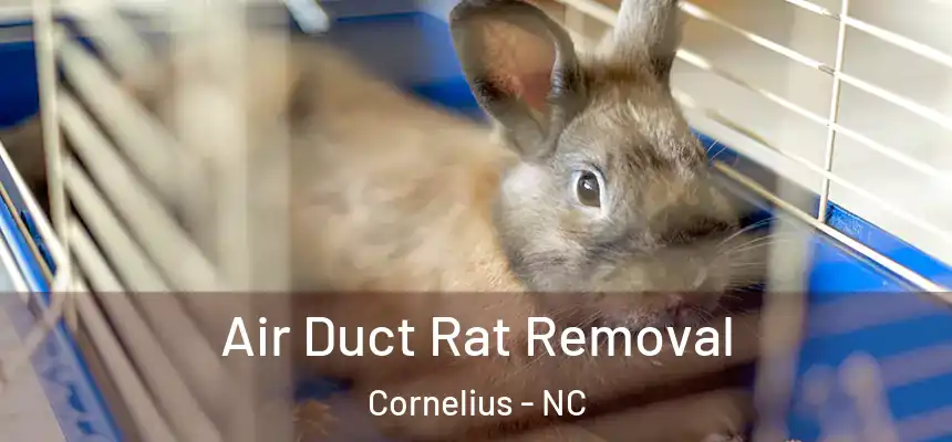  Air Duct Rat Removal Cornelius - NC