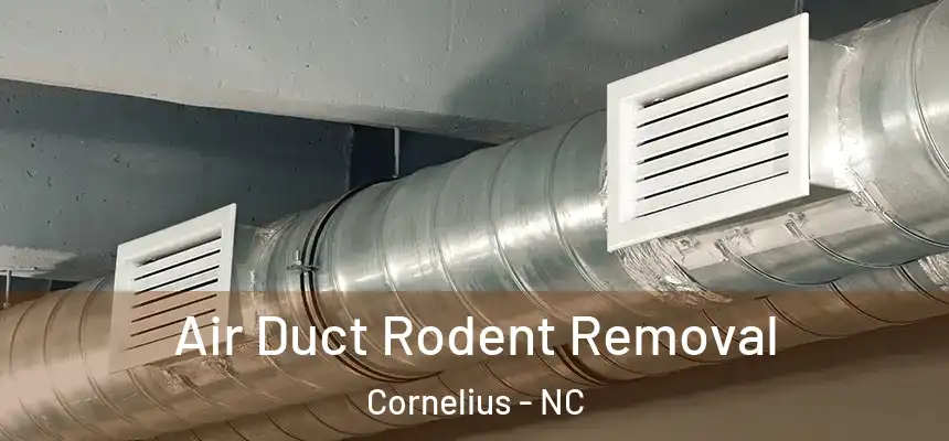  Air Duct Rodent Removal Cornelius - NC