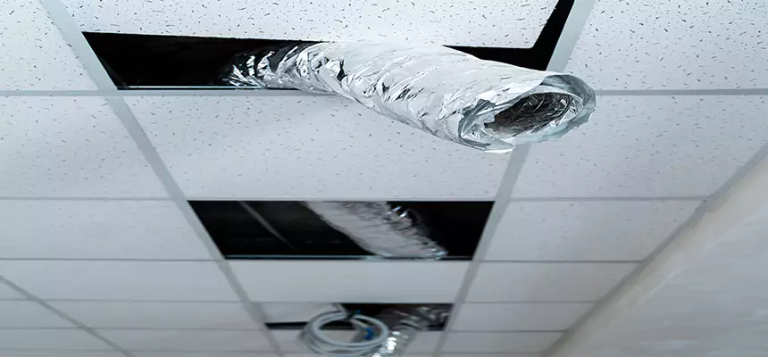 Affordable HVAC Sanitizing After Pest Removal in Cornelius