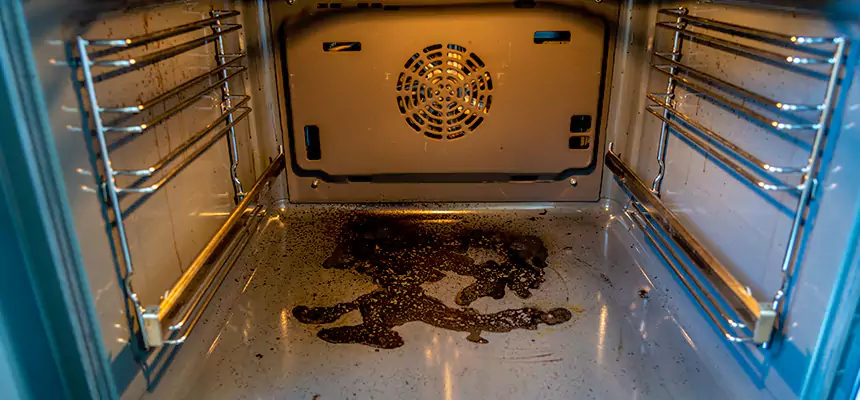 Our Dryer Vent Mold Cleaning Services in Cornelius, NC