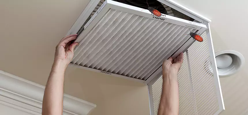 Our Insect Removal from Air Ducts Services in Cornelius, NC
