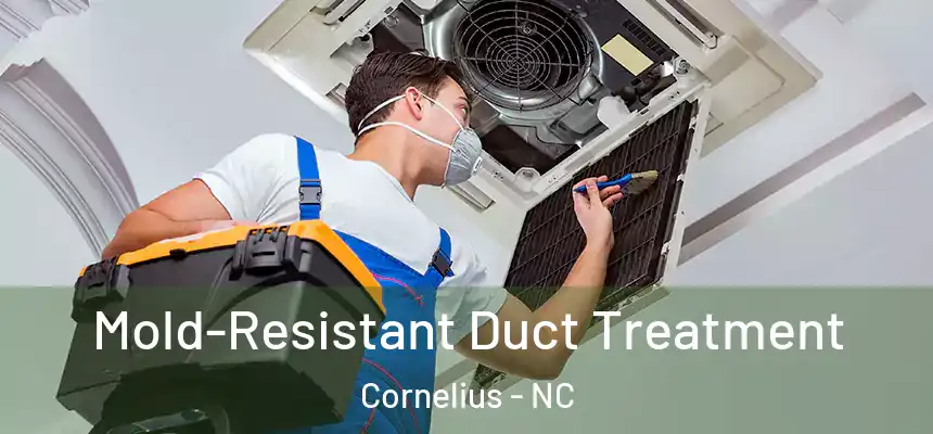  Mold-Resistant Duct Treatment Cornelius - NC