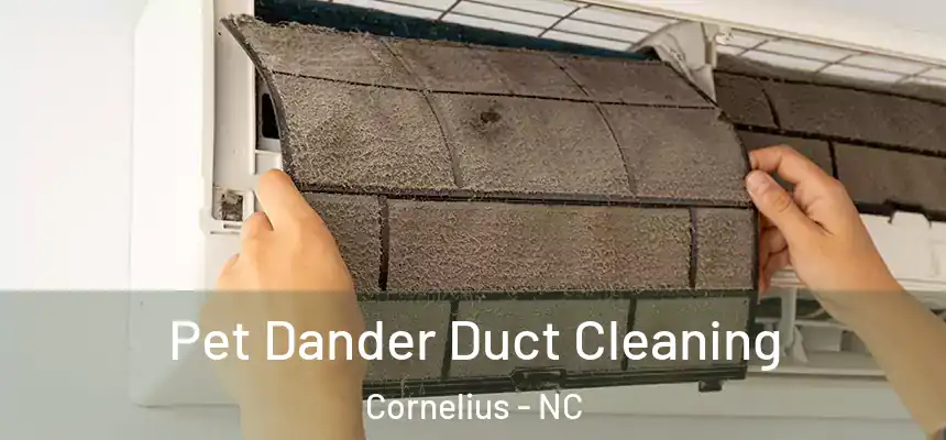 Pet Dander Duct Cleaning Cornelius - NC