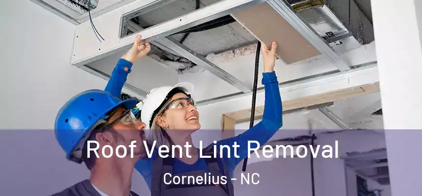  Roof Vent Lint Removal Cornelius - NC