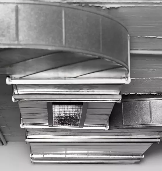 Professional Air Duct Pet Hair Removal in Cornelius, NC