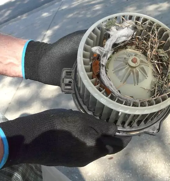 About Air Duct Rat Removal in Cornelius, NC