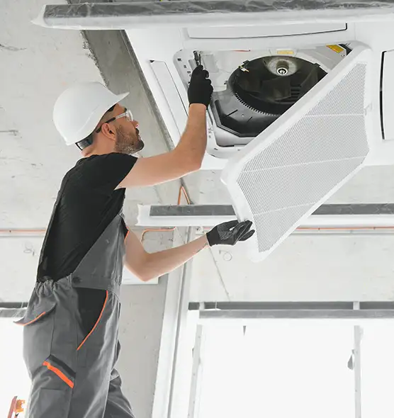 About Air Duct Rodent Removal in Cornelius, NC