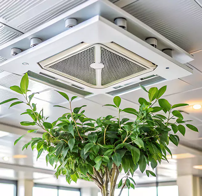 Why Homeowners & Businesses Trust Us in Cornelius, NC?