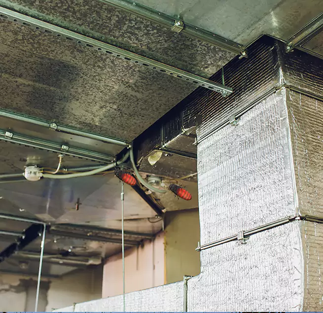 Why Homeowners & Businesses Trust Us Cornelius, NC?